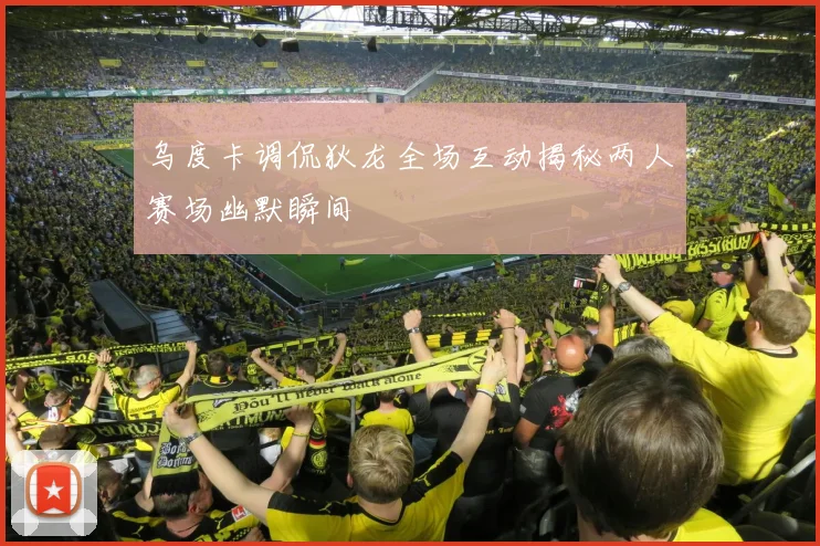 乌度卡调侃狄龙全场互动揭秘两人赛场幽默瞬间