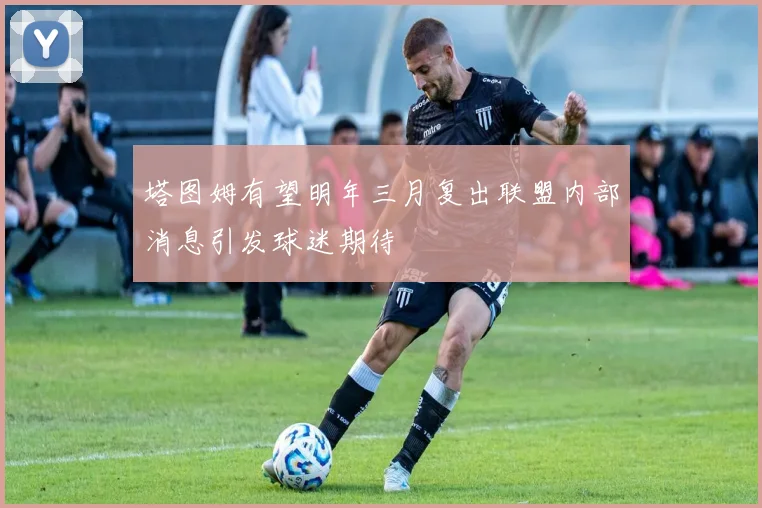 塔图姆有望明年三月复出联盟内部消息引发球迷期待