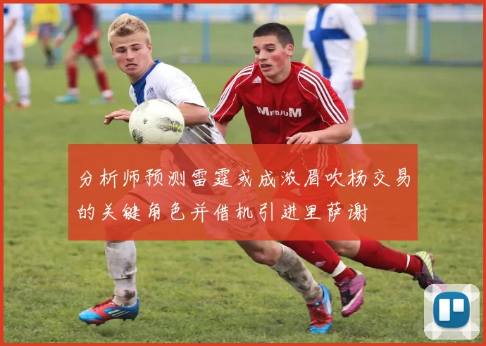 分析师预测雷霆或成浓眉吹杨交易的关键角色并借机引进里萨谢